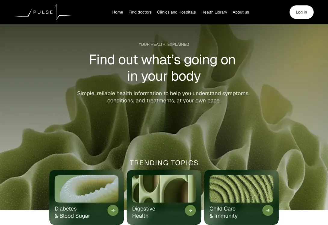 Pulse site template screen shot