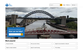 Local site template screen shot